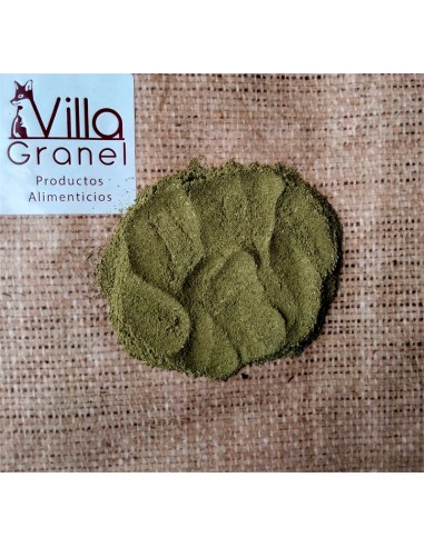 Moringa Polvo