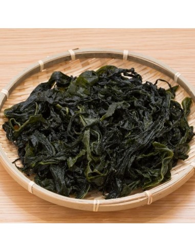 Alga Wakame