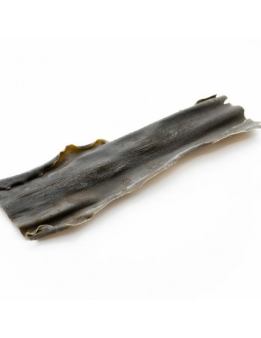 Alga Kombu