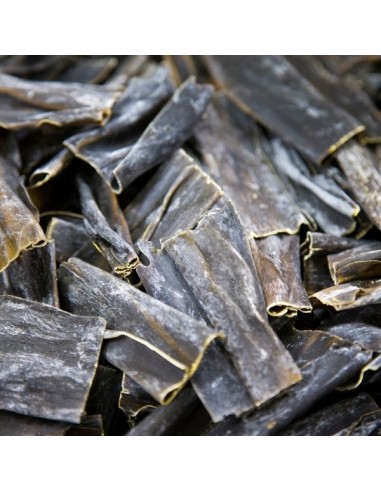 Alga Kombu